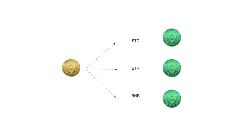 WETC in several blockchains.